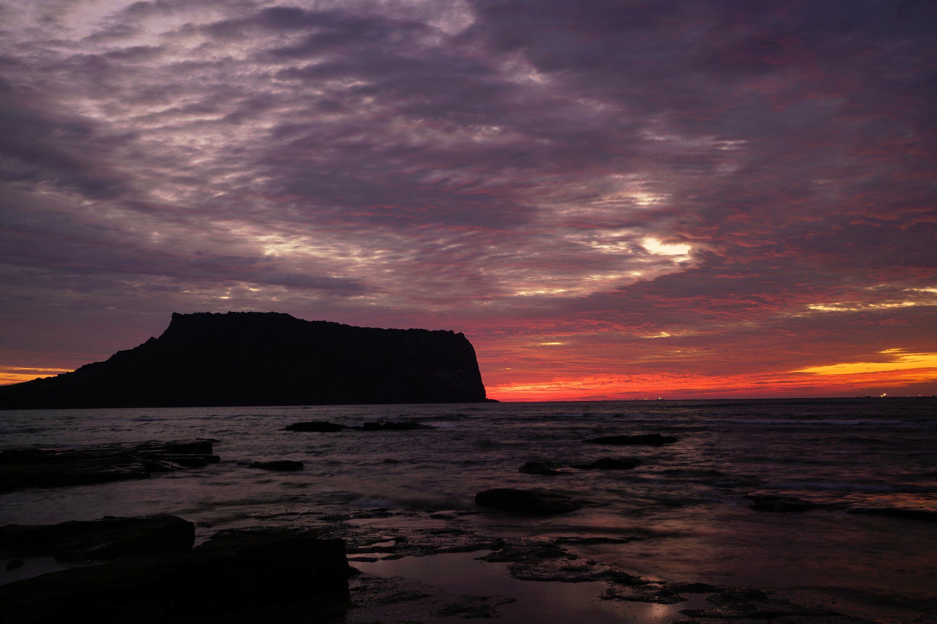 DSC08873.jpg