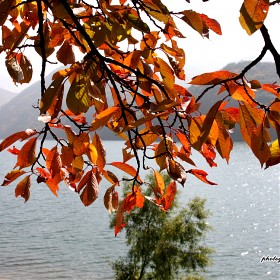 [EOS 40D + 18-270mm] ܾ ÷̽