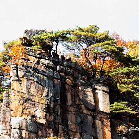 [EOS 40D + 18-270mm] ξ