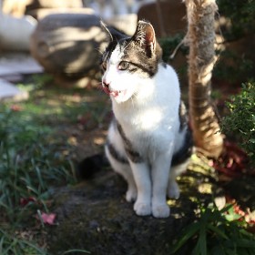 [5D M3+16-35L]  ..