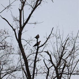 [200D+50-250 F4.5] ﻿ ̺ ..