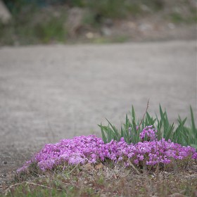 [5D]   ǳ
