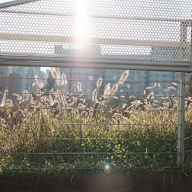   <T2 + XF 35mm F2.0>