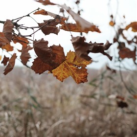   <T2 + XF 35mm F2.0>