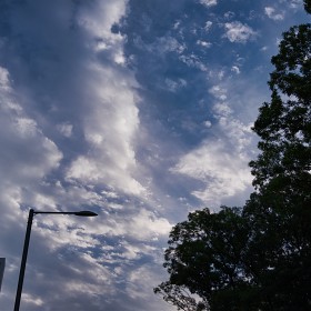 [GFX50R + GF50mm]  ģ ϴ
