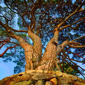 [����]��å 428