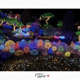 ��ħ ���� �����..