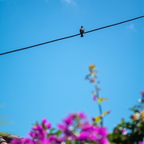 (sl + 90mm)     Ѿ ɻ