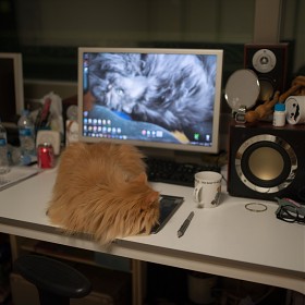 D700+35.4a  p,m11 30  츮̵