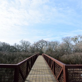 [D7200 + 11-20mm]  帰 ǳ