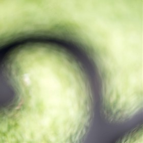 ũũũ... ø  