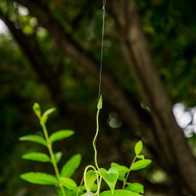 d5300/16-85]   οǰ