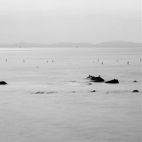 d5300/16-85] 