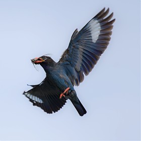 [D500+200-500VR] Ķ