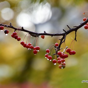 [D500 + 18-400mm] 