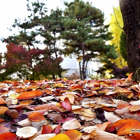 [D500 + 18-400mm] 