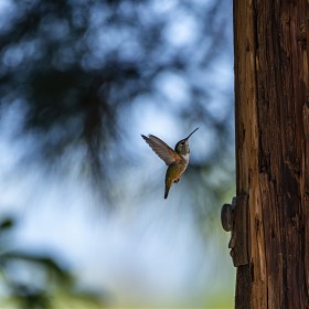 [D800] ֹ带 ƽó?