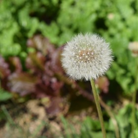 [ D3500] ε鷹