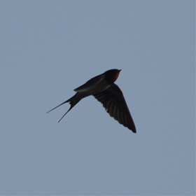 [d750+80-400]   ..