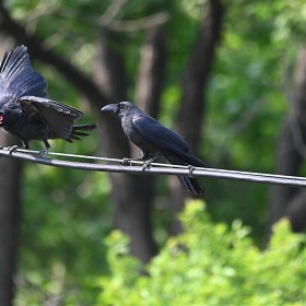 [d780+200-500]    ( ̵Ű ) ..
