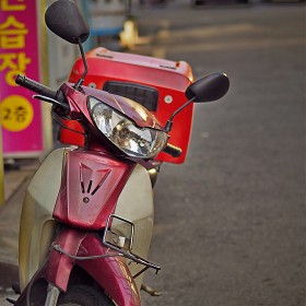 [E-M1 / 50mm F2.0]  