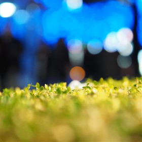 45mm f1.2 û
