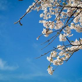 [gx85 | 25.4]  Ʈ ó Ếϴ~~