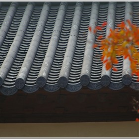 [nx10] + ɳ 28-105 (ī޶ eos5鷻)