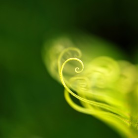 [nx1,60m]  (͵Լ) ..