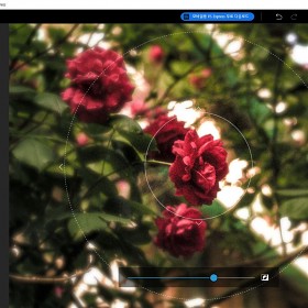  ñ׷ Adobe Photoshop Express