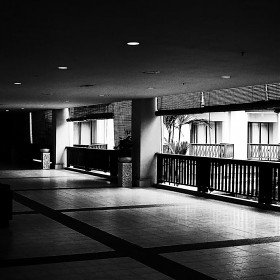 Ricoh - 