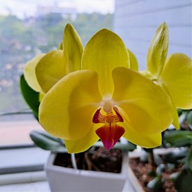 Pentax ī޶ ͸ D-LI90 ...  episode