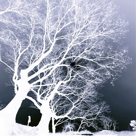 �ϻ� ... 2026.01.05 ... �⵵ .. [BGM]