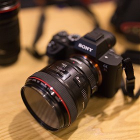 [A7RII + EF50mm F1.2L (̸)] ̻ڰ  ...   -   -