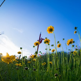 [A7M2 + FE28/2 + SEL057FEC]  Ծ ҹ ǳ 2