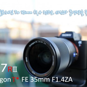 Ҵ FE 35mmf1.4 ZA ~ 