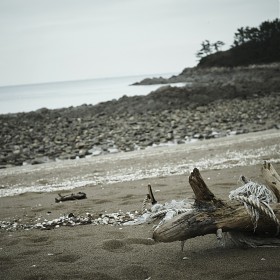[Nex-3n + Sigma A 30mm f2.8 DN] 帰 