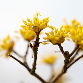 [A7R2+FE90MM MACRO]ֿ  Ǵ!!!