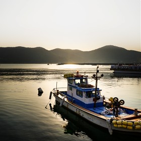 [NEX-F3+] ض