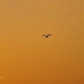 Ҵ FE 70-200  Ī ??