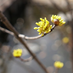 [a6500 + 16.4] ׷  ׿