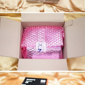 FE 24mm F1.4 GM  