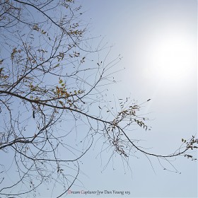 [A9 SEL100400]  