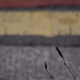 [A9 SEL100400]  