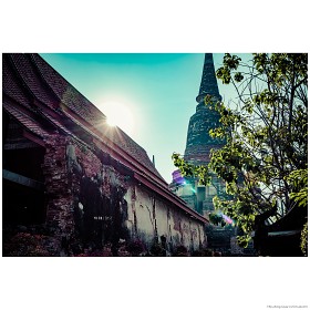 [A7R3*Batis 2/40 CF] 