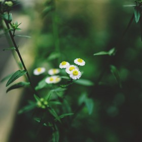 [A7M3 + SIGMA Art 35mm f1.4 Ʈ繫] A7M3 ʹ׿....