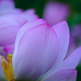A7r3+ef70-200