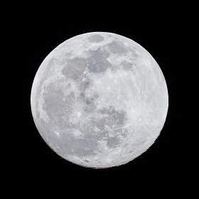 [a7R IV+200-600G] 