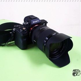 sel24240 鿴ϴ =)