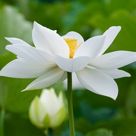[A7M3 | Ž 70-180mm] ￬׸ũ